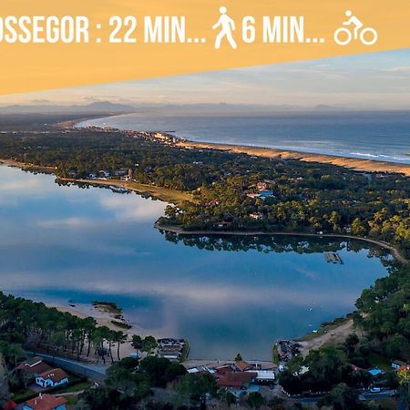 Hossegor - Vue Ocean - Plage - Couple - Famille Soorts-Hossegor Buitenkant foto